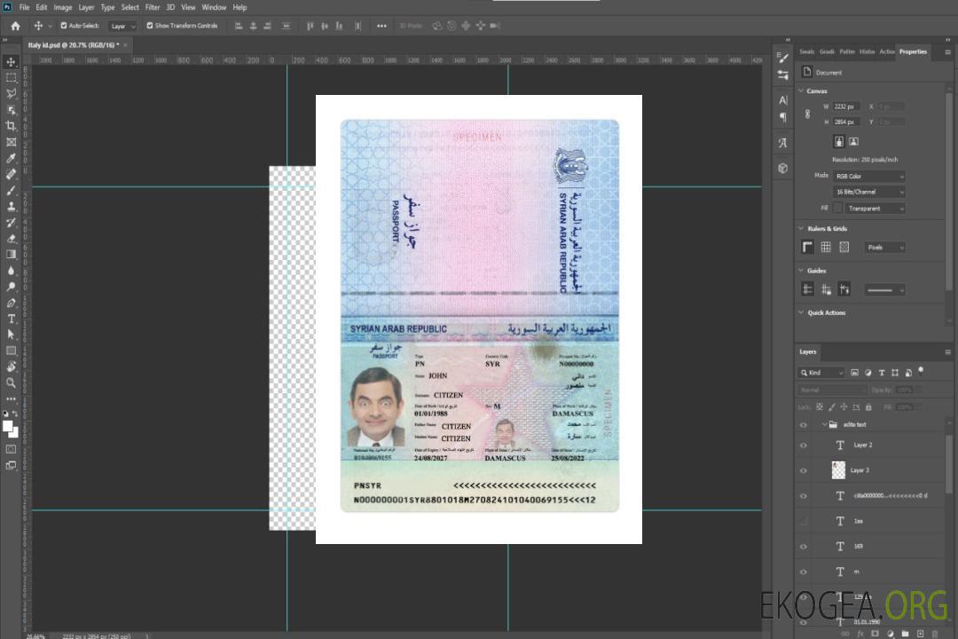 Passeport syrien 2022-présent template Passeport syrien 2022-présent template